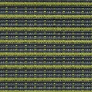 jeb